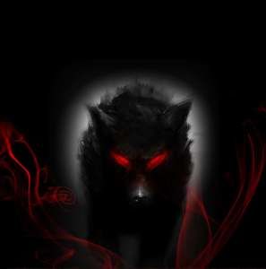 Meet your Posher, Chase